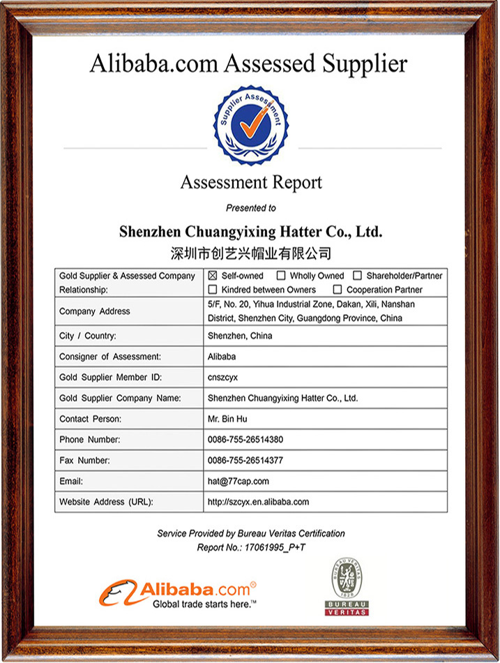 Alibaba Qualification Certification Certificate for Domestic and Foreign Enterprises