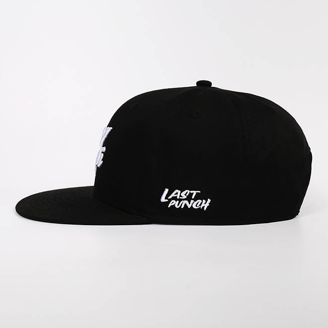 Custom 6 Panel Cotton 3D Embroidery Logo Men Hip Hop Hat Flat Brim Snapback Cap