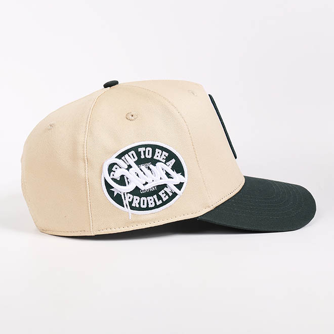 Custom 5 Panel Cotton 2 Tone 3D Embroidery Logo Curved Brim Hat Baseball Cap