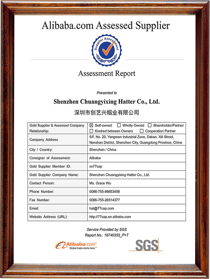 Alibaba Qualification Certification Certificate at Home and Abroad2